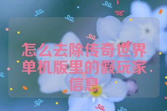 怎么去除传奇世界单机版里的假玩家信息