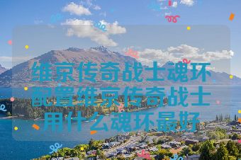 维京传奇战士魂环配置维京传奇战士用什么魂环最好