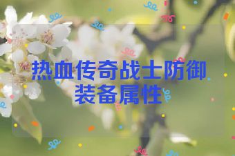 热血传奇战士防御装备属性
