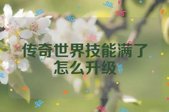 传奇世界技能满了怎么升级