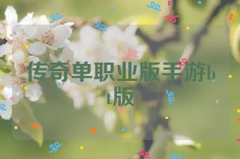 传奇单职业版手游bt版
