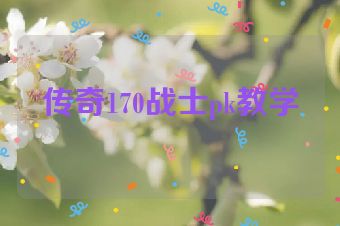 传奇170战士pk教学