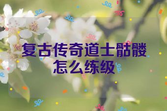 复古传奇道士骷髅怎么练级