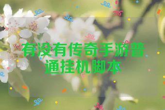 有没有传奇手游普通挂机脚本