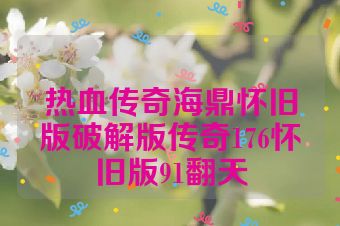 热血传奇海鼎怀旧版破解版传奇176怀旧版91翻天