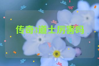 传奇3道士厉害吗