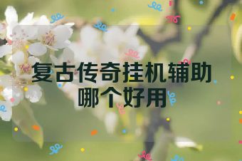 复古传奇挂机辅助哪个好用