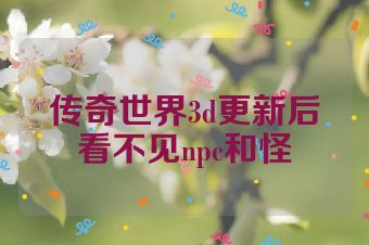 传奇世界3d更新后看不见npc和怪