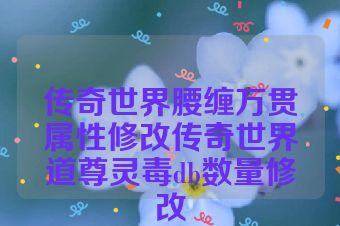 传奇世界腰缠万贯属性修改传奇世界道尊灵毒db数量修改