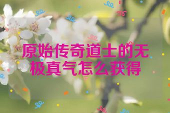 原始传奇道士的无极真气怎么获得