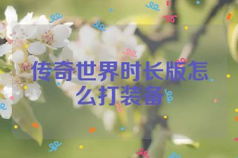 传奇世界时长版怎么打装备