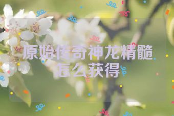 原始传奇神龙精髓怎么获得