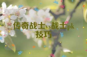 传奇战士vs战士pk技巧
