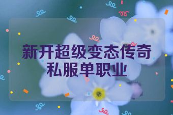新开超级变态传奇私服单职业