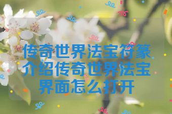 传奇世界法宝符篆介绍传奇世界法宝界面怎么打开