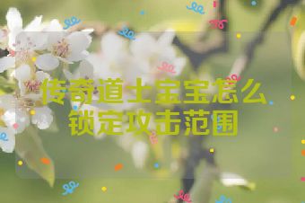 传奇道士宝宝怎么锁定攻击范围