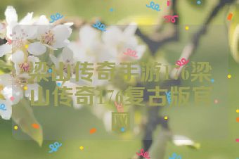 梁山传奇手游176梁山传奇176复古版官网