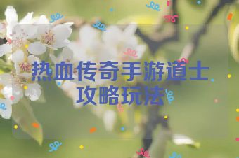 热血传奇手游道士攻略玩法
