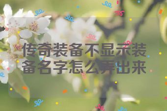 传奇装备不显示装备名字怎么弄出来