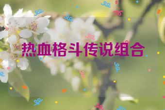 热血格斗传说组合