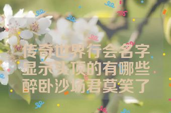 传奇世界行会名字显示头顶的有哪些醉卧沙场君莫笑了