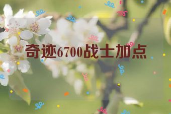 奇迹6700战士加点