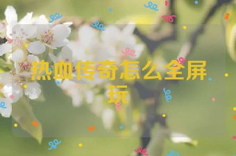 热血传奇怎么全屏玩