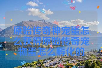 原始传奇神宠蛋怎么获得原始传奇宠物蛋怎么孵化的