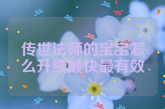 传世法师的宝宝怎么升级最快最有效