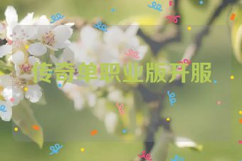 传奇单职业版开服