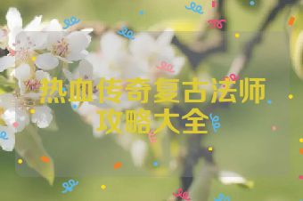 热血传奇复古法师攻略大全