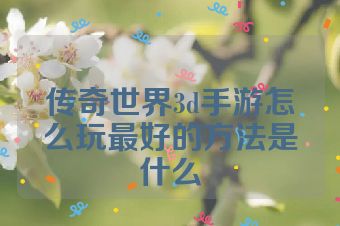 传奇世界3d手游怎么玩最好的方法是什么