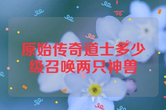 原始传奇道士多少级召唤两只神兽