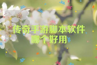传奇手游脚本软件哪个好用