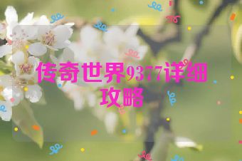 传奇世界9377详细攻略