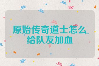原始传奇道士怎么给队友加血
