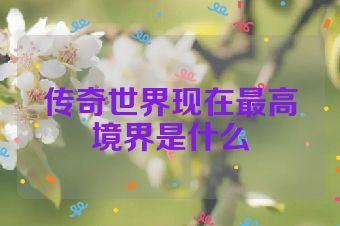传奇世界现在最高境界是什么
