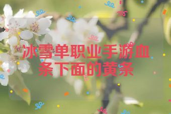 冰雪单职业手游血条下面的黄条