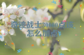 奇迹战士30000点该怎么加点