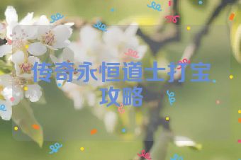 传奇永恒道士打宝攻略