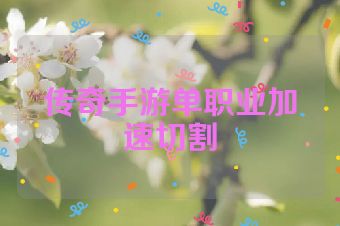 传奇手游单职业加速切割