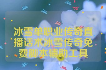 冰雪单职业传奇直播话术冰雪传奇免费脚本辅助工具