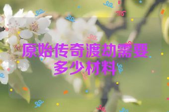 原始传奇渡劫需要多少材料