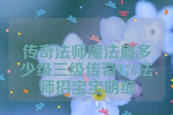 传奇法师魔法盾多少级三级传奇176法师招宝宝明细