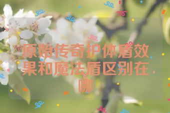 原始传奇护体盾效果和魔法盾区别在哪
