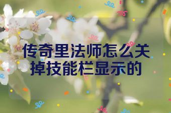 传奇里法师怎么关掉技能栏显示的