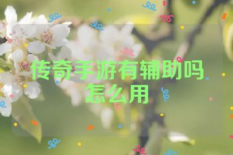 传奇手游有辅助吗怎么用