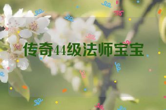 传奇44级法师宝宝