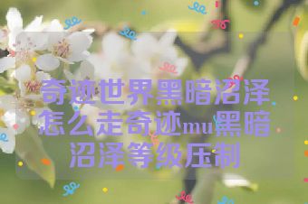 奇迹世界黑暗沼泽怎么走奇迹mu黑暗沼泽等级压制
