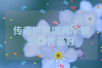 传奇世界哪两个职业组合最好